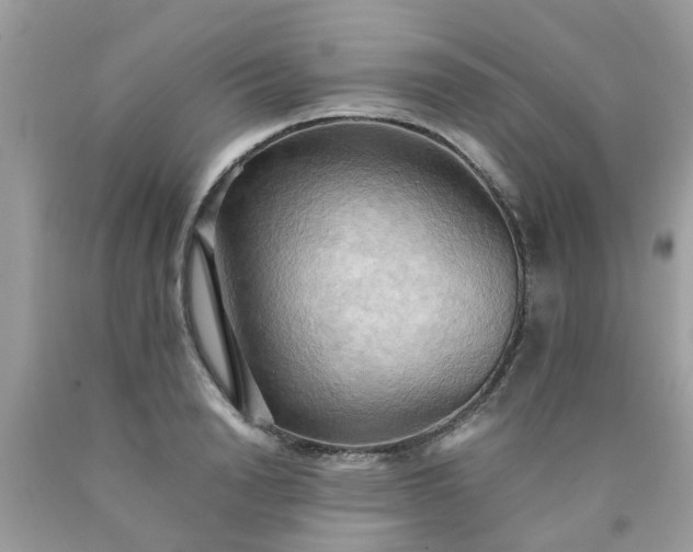 X0000090430846200707272130