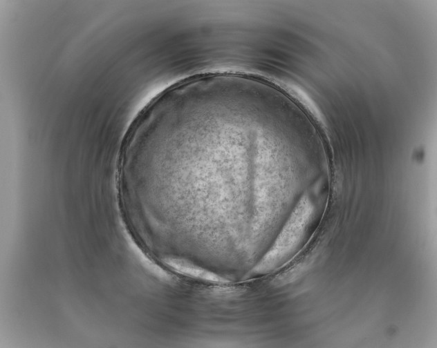 X0000090430847200707272130