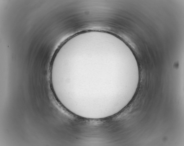 X0000090430848200707272130