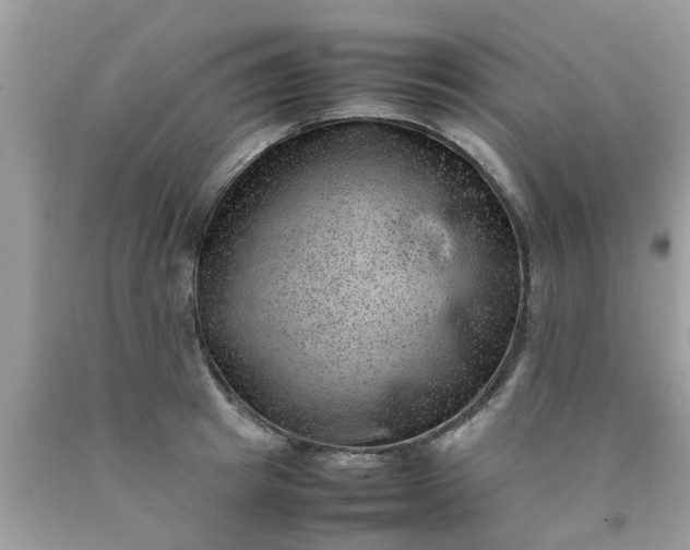 X0000090430849200707272130