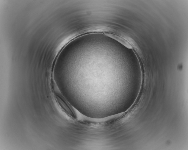 X0000090430850200707272130