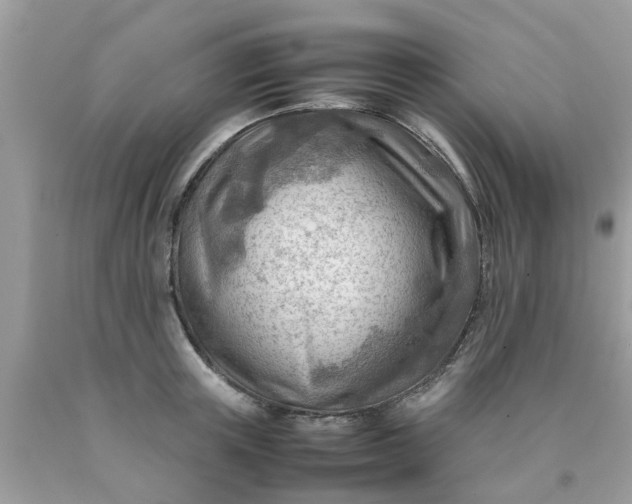 X0000090430851200707272130