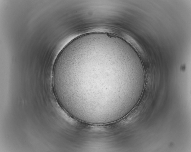 X0000090430852200707272130