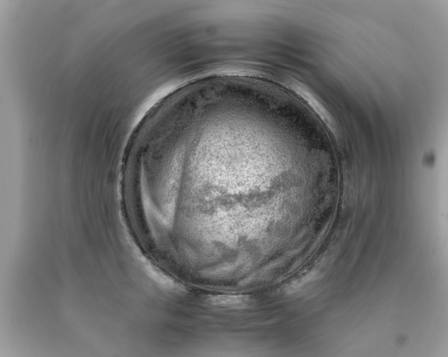 X0000090430853200707272130