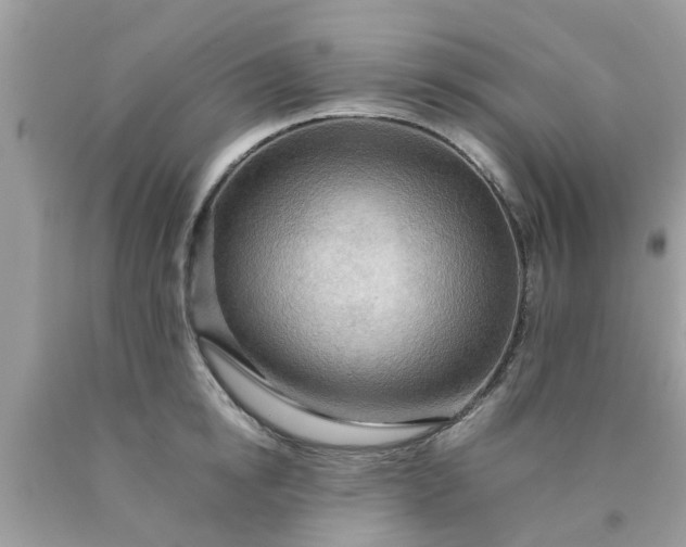 X0000090430854200707272130