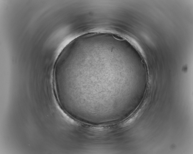 X0000090430855200707272130