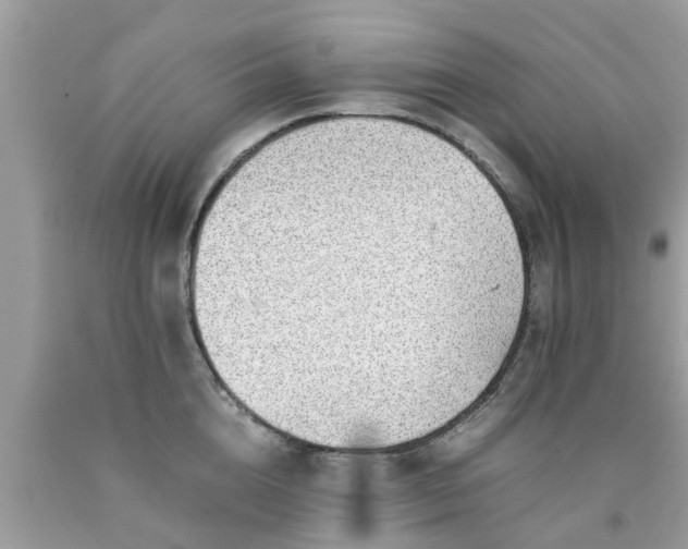 X0000090430856200707272130