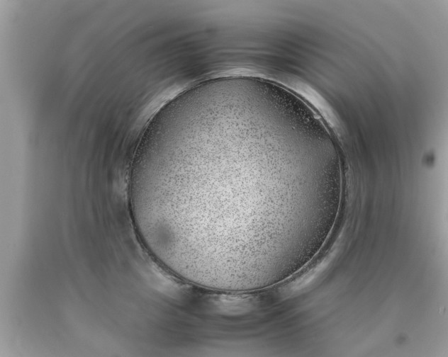 X0000090430857200707272130