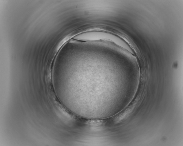 X0000090430858200707272130