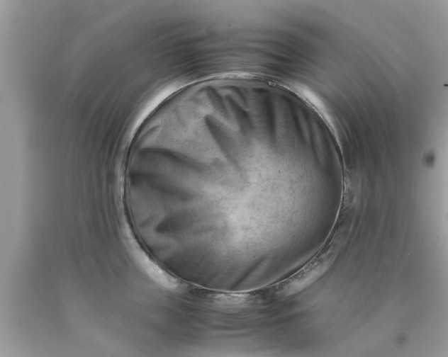 X0000090430859200707272130