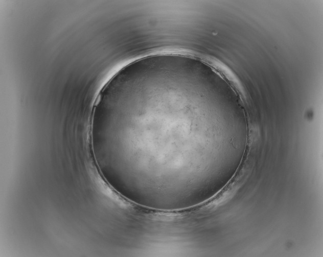 X0000090430860200707272130