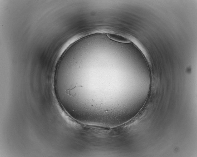 X0000090430861200707272130