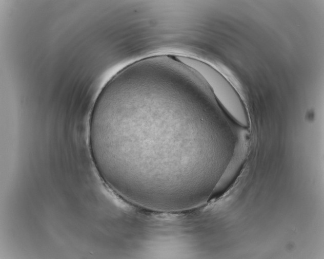 X0000090430862200707272130