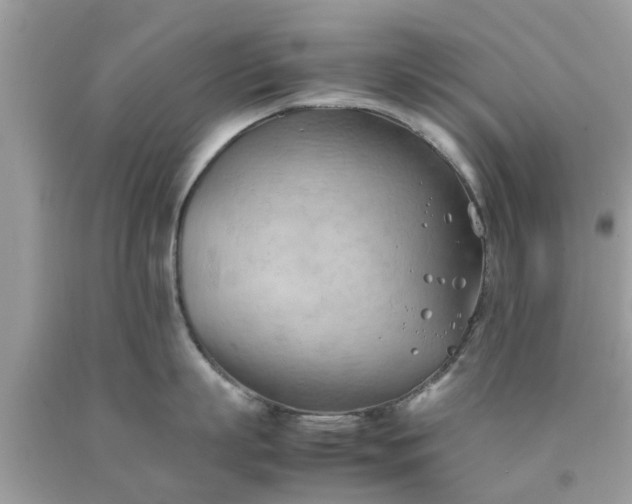 X0000090430863200707272130