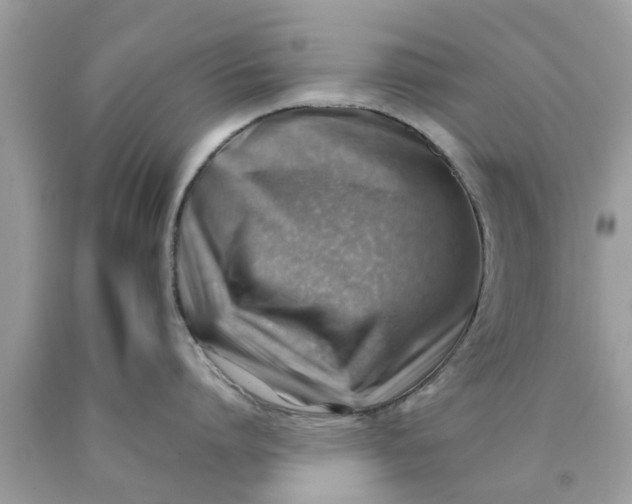 X0000090430864200707272130