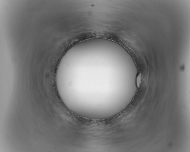 X0000090430865200707272129