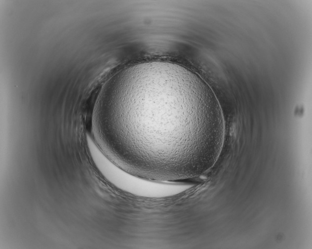 X0000090430868200707272129