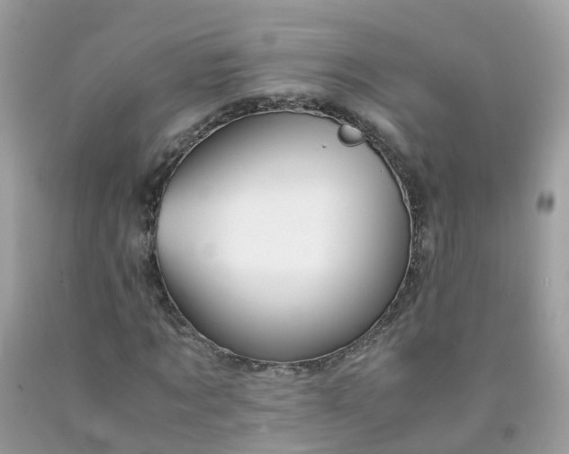 X0000090430869200707272129