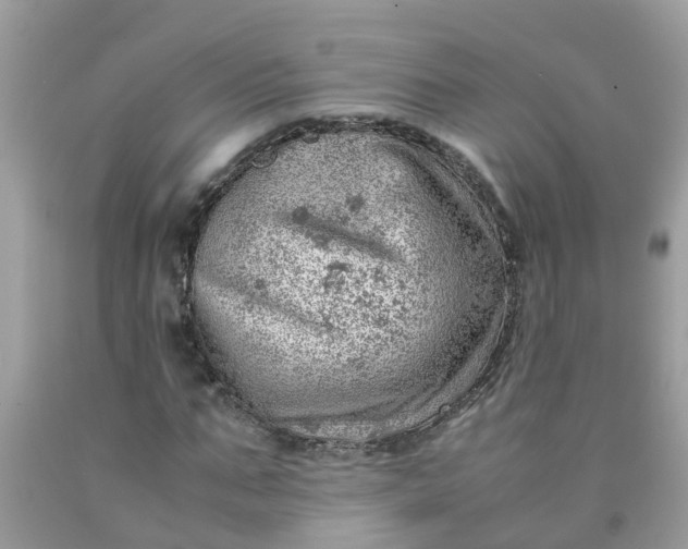 X0000090430871200707272129