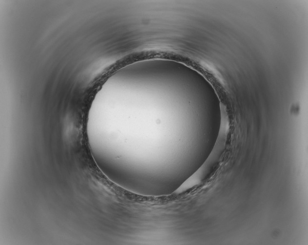 X0000090430872200707272129