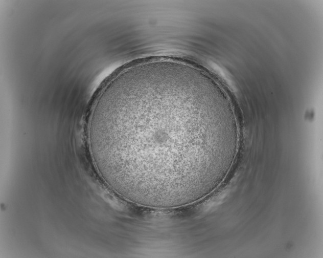 X0000090430875200707272129