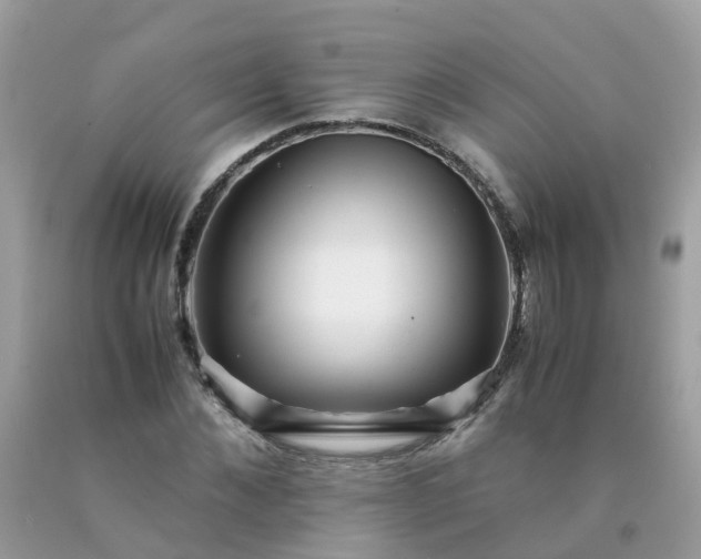 X0000090430876200707272129