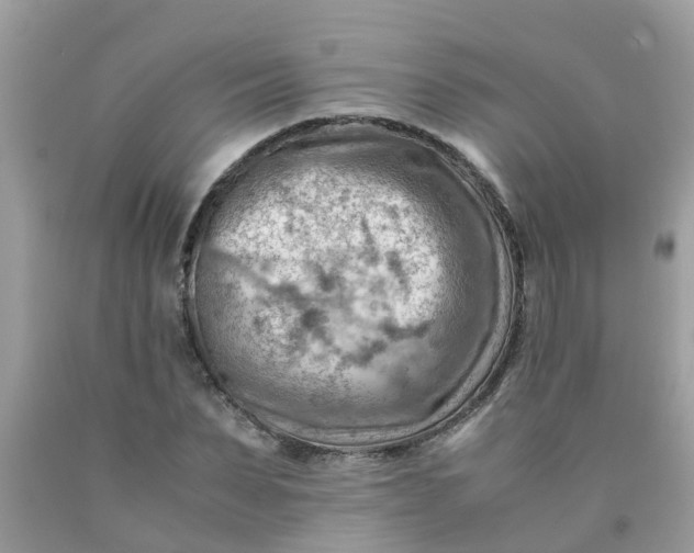 X0000090430879200707272129