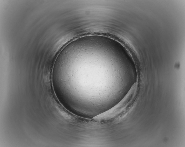 X0000090430881200707272129