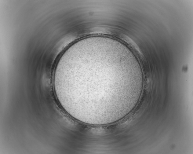 X0000090430882200707272129