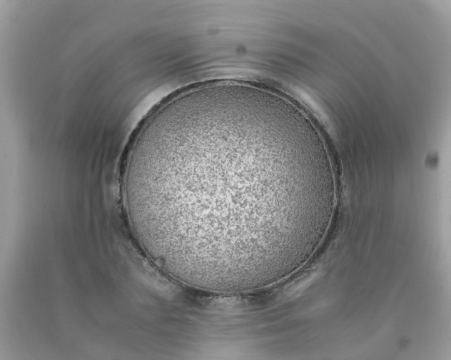 X0000090430883200707272129