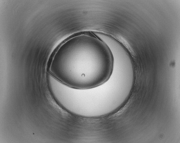 X0000090430884200707272129