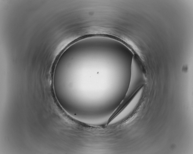 X0000090430885200707272129