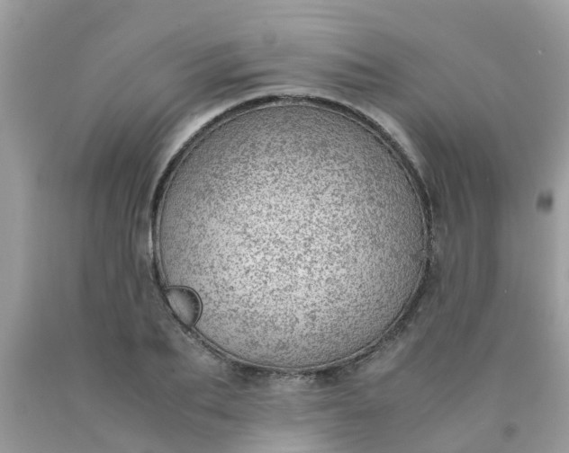 X0000090430887200707272129