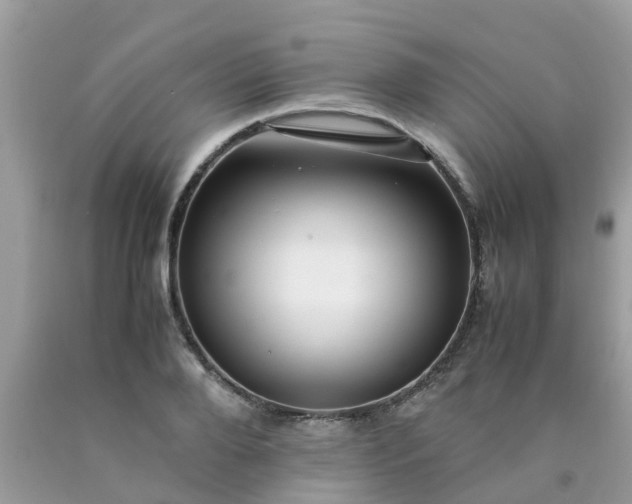 X0000090430888200707272129