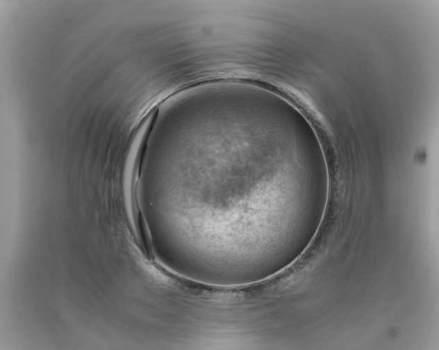 X0000090430889200707272129