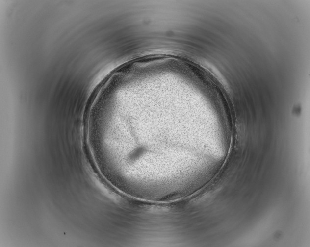 X0000090430890200707272129