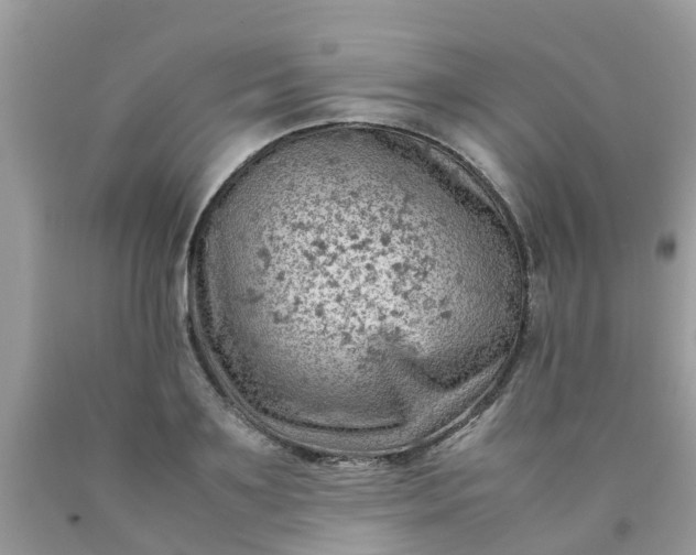 X0000090430891200707272129