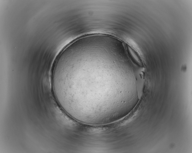 X0000090430892200707272129