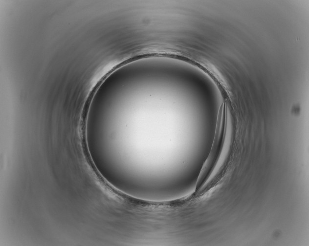 X0000090430893200707272129