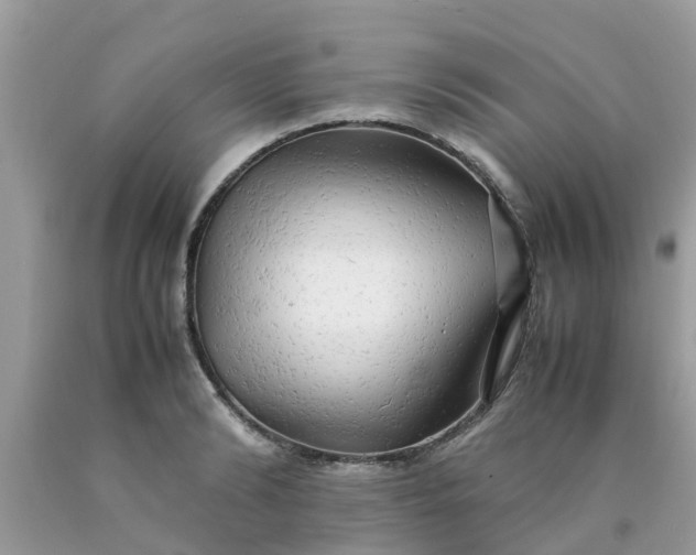 X0000090430894200707272129