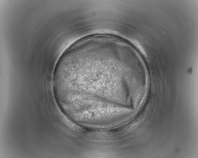 X0000090430895200707272129