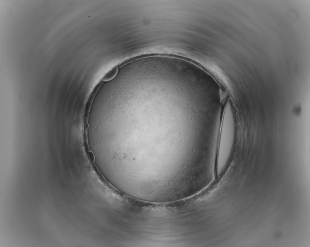 X0000090430896200707272129