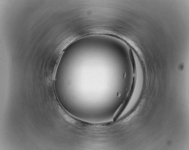 X0000090430897200707272129