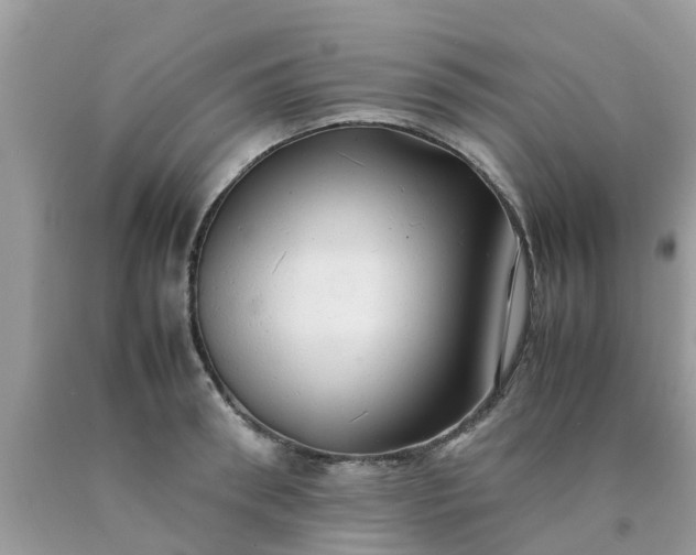 X0000090430898200707272129