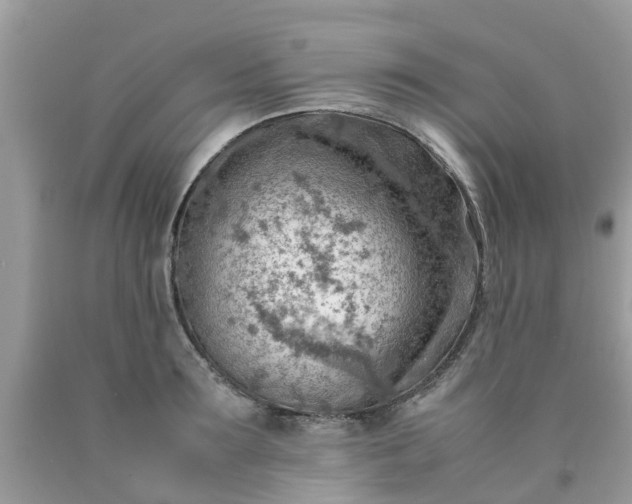 X0000090430899200707272129