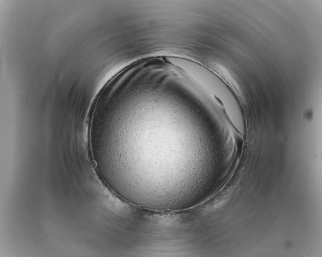 X0000090430900200707272129