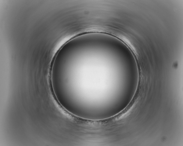 X0000090430901200707272129