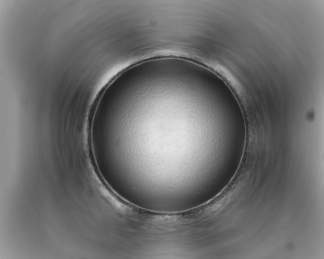 X0000090430902200707272129