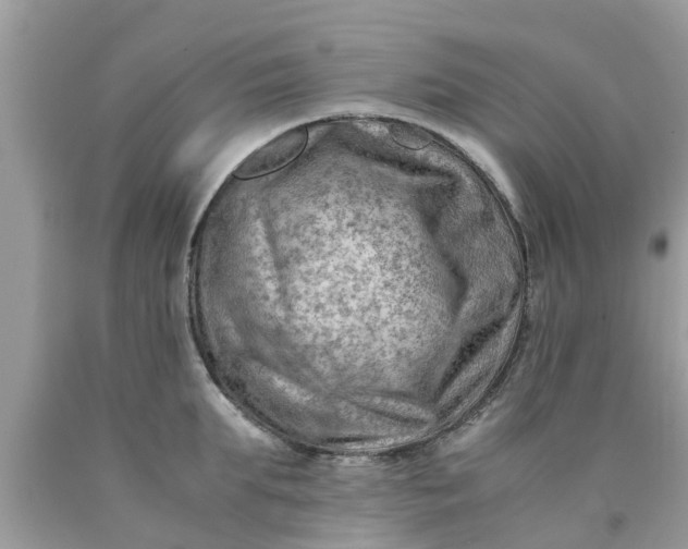 X0000090430903200707272129