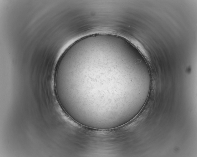 X0000090430904200707272129